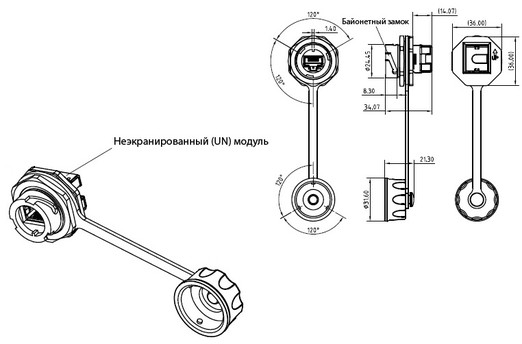 43078