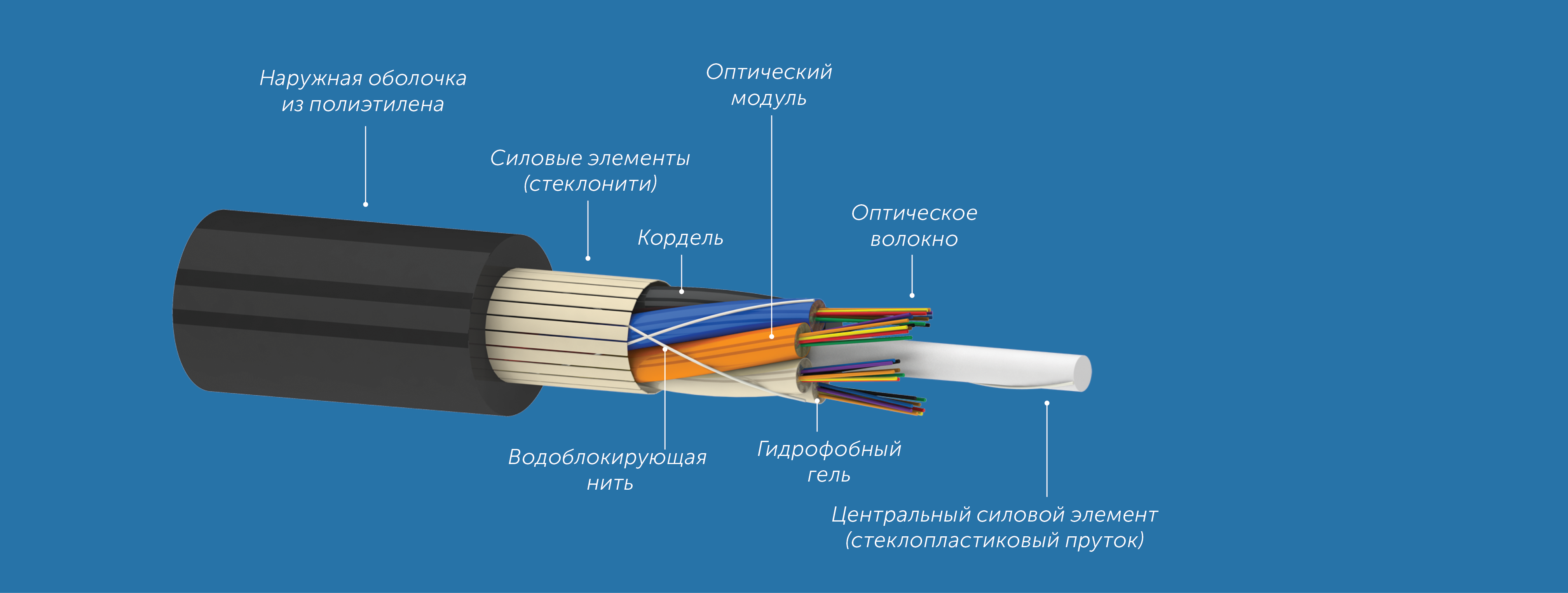 b0a565c1d2e311e980bd000c29d70fd6_c50203ae3c1311ec80dd000c29d70fd6